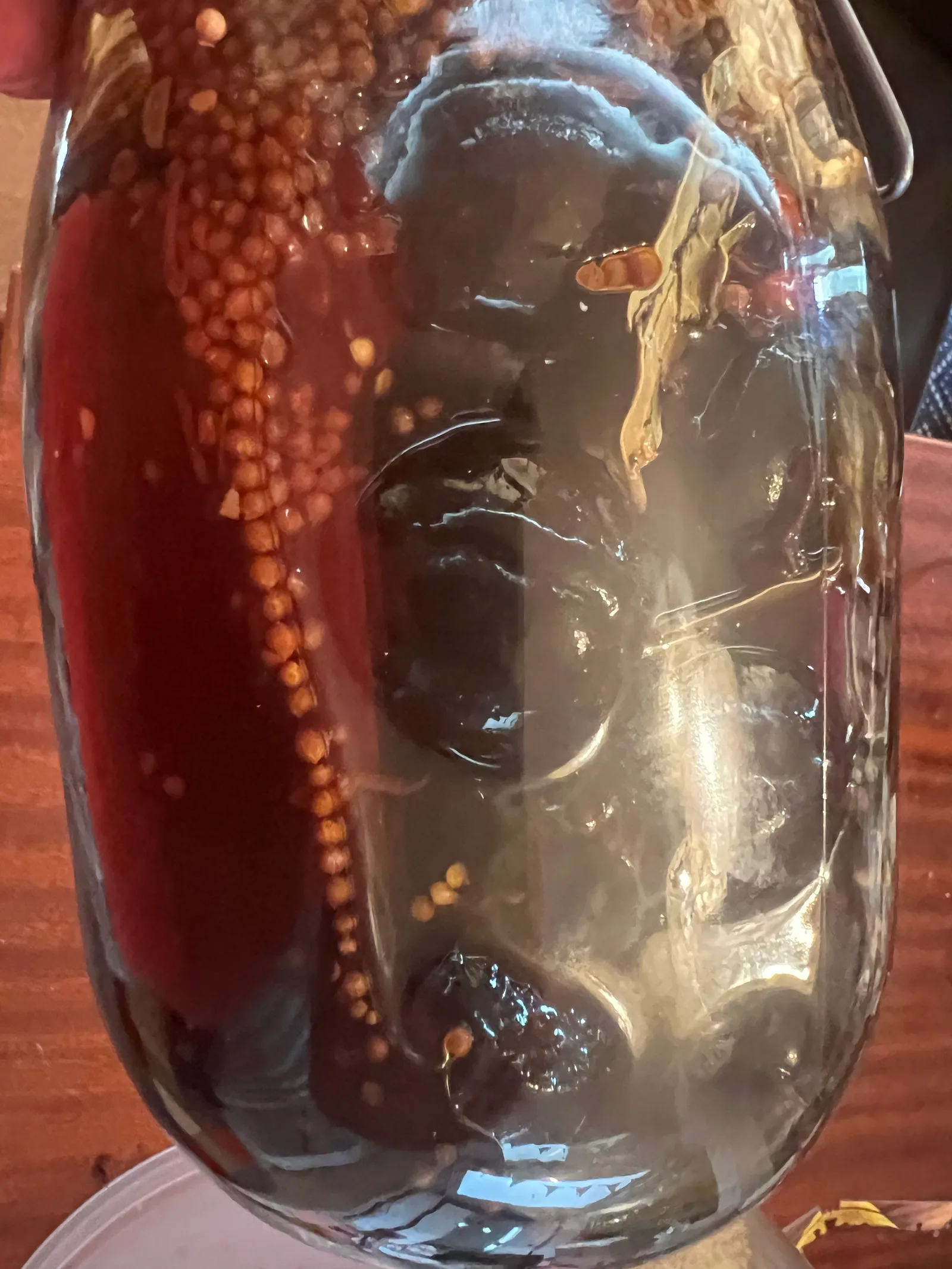Close-up of pickled walnuts in the jar.